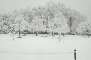 cottage-hiver02 cottage-hiver02