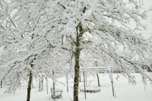 cottage-hiver05 cottage-hiver05