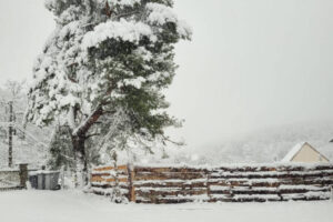 cottage-hiver09 cottage-hiver09